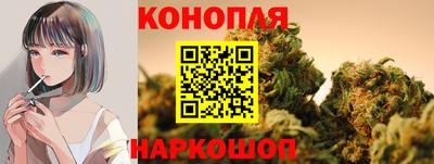 СК Пугачёв