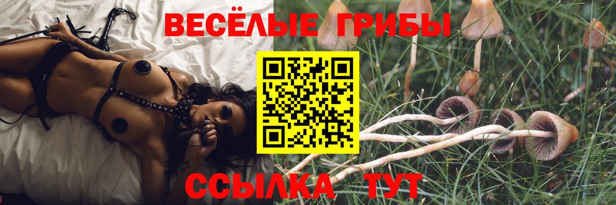 Псилоцибиновые грибы Psilocybine cubensis Белорецк