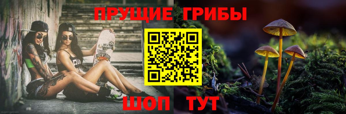 Псилоцибиновые грибы MAGIC MUSHROOMS  Вход с VPN  купить наркотики цена  Белорецк  Галлюциногенные грибы Psilocybine cubensis 